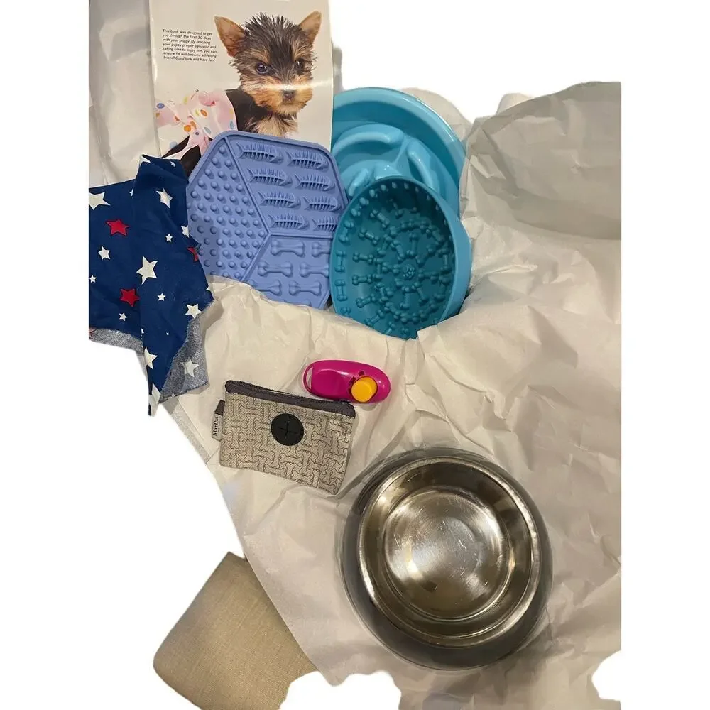 Puppy beginning items  10 puppy essentials for your puppy